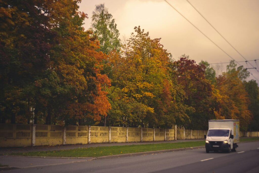 a white truck driving down a road next to a forest