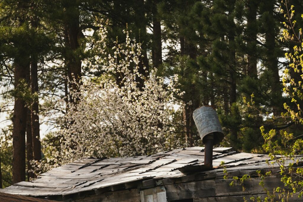 Rustic cabin roof with blooming tree and chimney