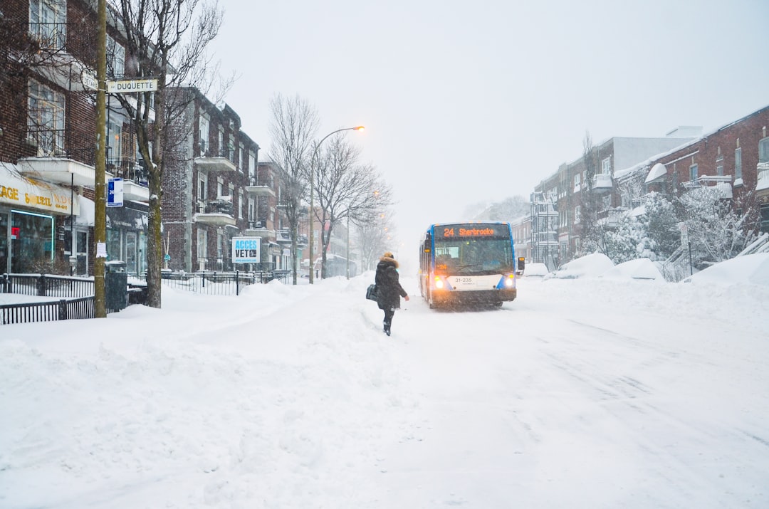 woman standing near blue truck